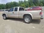2003 Dodge Dakota SXT