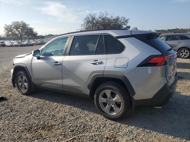 2024 Toyota Rav4 XLE