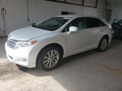 2010 Toyota Venza for sale in Lexington, KY