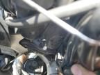 2013 Triumph Tiger Explorer