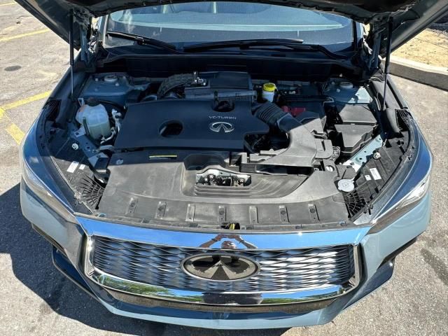 2024 Infiniti QX55 Luxe