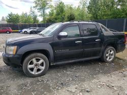 Salvage trucks for sale at Waldorf, MD auction: 2008 Chevrolet Avalanche K1500