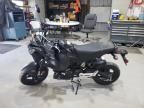 2025 Honda Grom 125