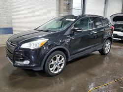 2013 Ford Escape SEL for sale in Ham Lake, MN