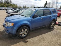 Salvage cars for sale from Copart Bowmanville, ON: 2010 Ford Escape XLT