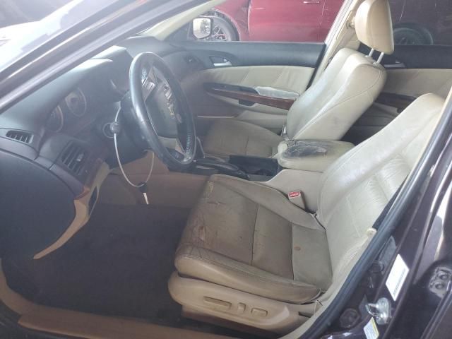 2011 Honda Accord EXL