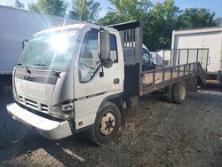 Salvage trucks for sale at Waldorf, MD auction: 2007 Isuzu NQR