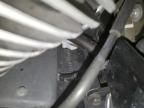 2006 Suzuki C50
