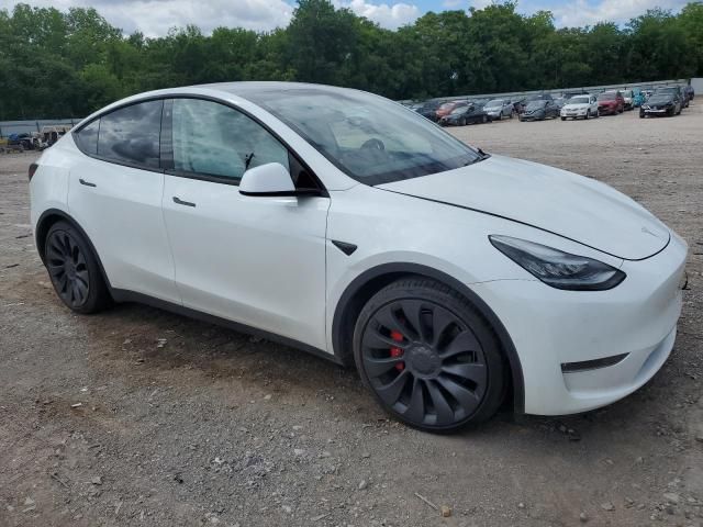2020 Tesla Model Y