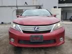 2010 Lexus HS 250H