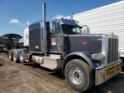 Peterbilt salvage cars for sale: 2023 Peterbilt 389 Semi Truck