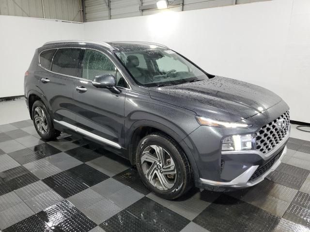 2023 Hyundai Santa FE SEL Premium