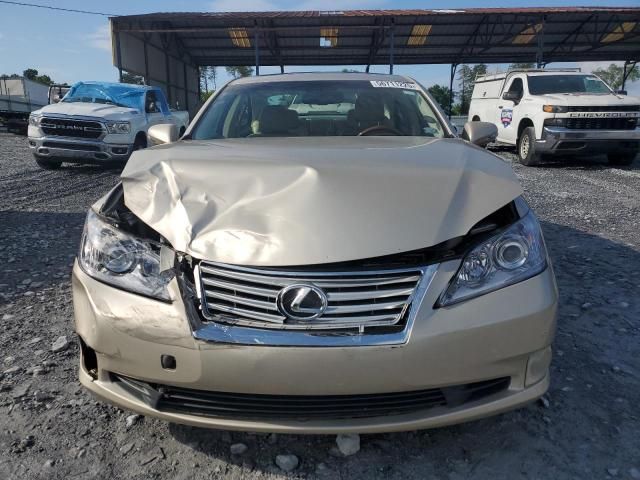 2010 Lexus ES 350