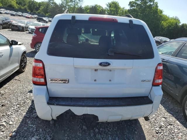 2009 Ford Escape XLT