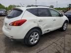2010 Nissan Murano S
