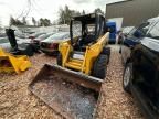 2010 John Deere 250