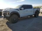 2024 Ford F150 Raptor
