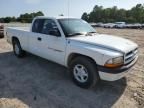 2001 Dodge Dakota
