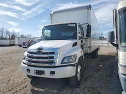 2020 Hino 258 268 en venta en Lexington, KY