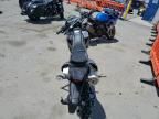 2024 Kawasaki KLX300 F