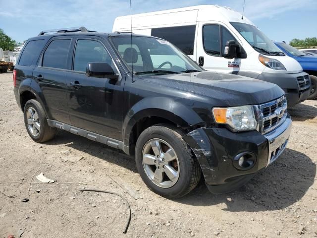 2010 Ford Escape Limited