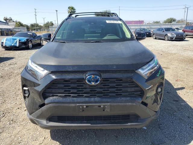 2024 Toyota Rav4 XLE Premium
