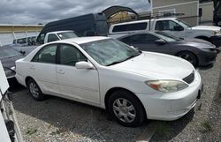 2003 Toyota Camry LE for sale in Graham, WA