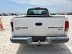 2004 Dodge Dakota SXT