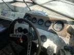 1975 Sea Ray Boat