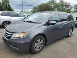 2014 Honda Odyssey EXL for sale in Moraine, OH