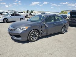 2017 Honda Accord Hybrid for sale in Bakersfield, CA
