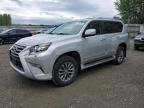 2014 Lexus GX 460 Premium