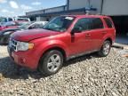 2009 Ford Escape xlt