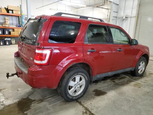 2011 Ford Escape XLT