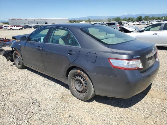 2011 Toyota Camry Hybrid
