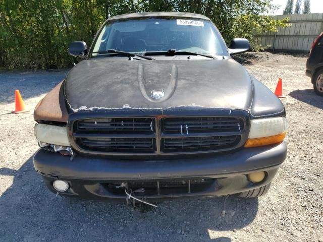 2001 Dodge Dakota Quattro