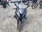 2024 BMW S 1000 RR