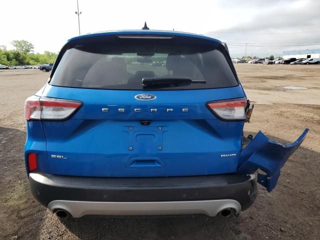 2021 Ford Escape SEL