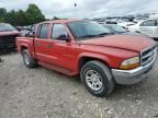 2002 Dodge Dakota Quad SLT