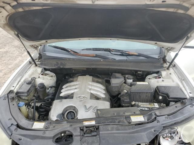 2007 Hyundai Santa FE SE