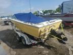 1975 Sea Ray Boat