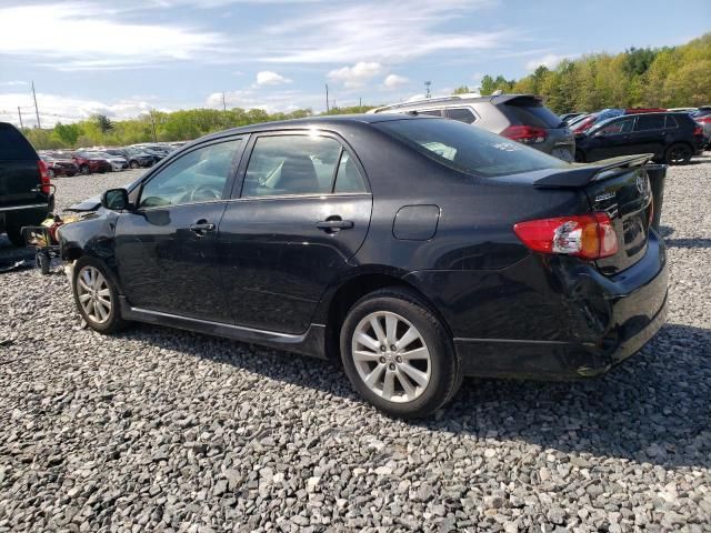 2009 Toyota Corolla Base