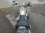 2004 Harley-Davidson Flstci