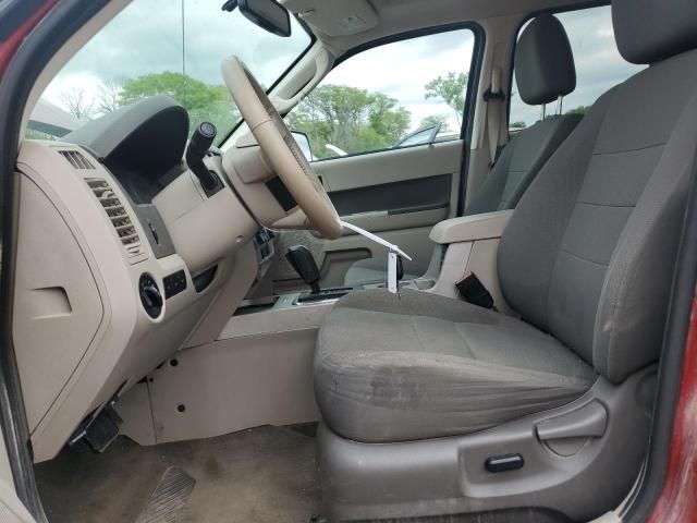 2010 Ford Escape XLT
