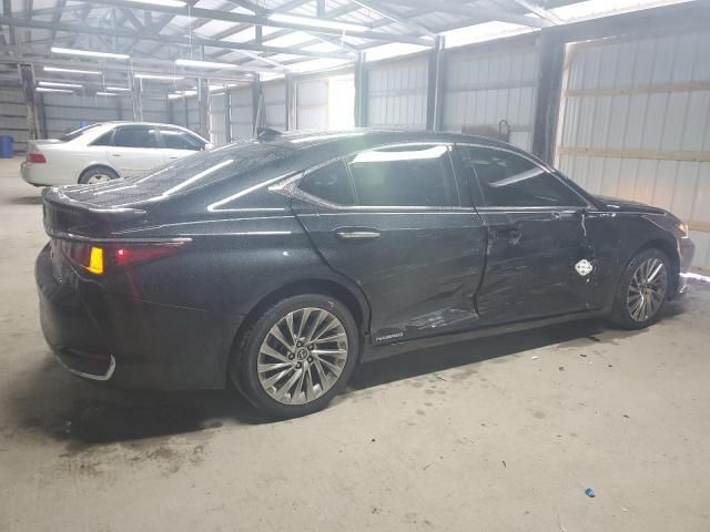 2020 Lexus ES 300H Luxury