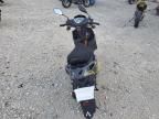 2023 Tztc MS