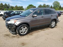 2010 Honda CR-V EXL for sale in Elgin, IL