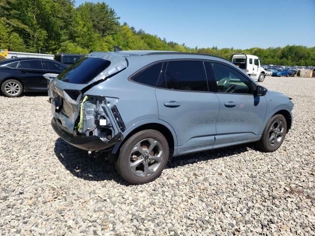 2024 Ford Escape ST Line