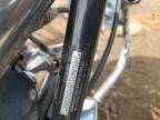 2009 Harley-Davidson Flstc