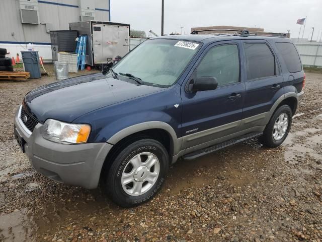 2002 Ford Escape XLT